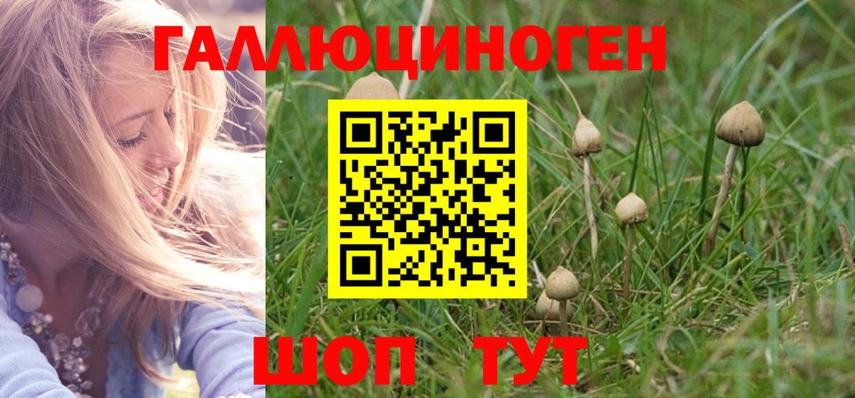 Великий Устюг  Галлюциногенные грибы мицелий  Вход с VPN  Галлюциногенные грибы GOLDEN TEACHER 